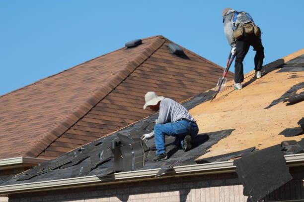 Best Roof Maintenance and Cleaning  in Chelsea, AL